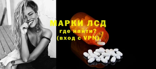 стафф Аркадак
