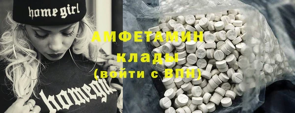 дживик Ельня