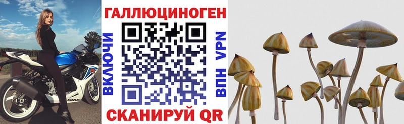 Псилоцибиновые грибы Magic Shrooms  Горячий Ключ 